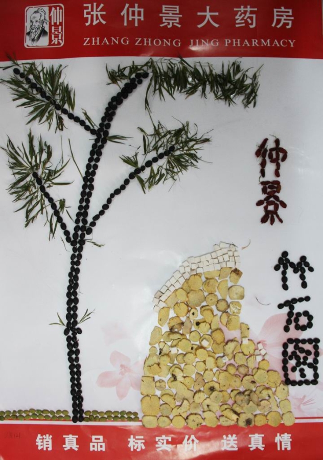 茯苓,黑豆,山茱萸和石竹茶五种不同颜色的中药材在白纸上进行拼图创作